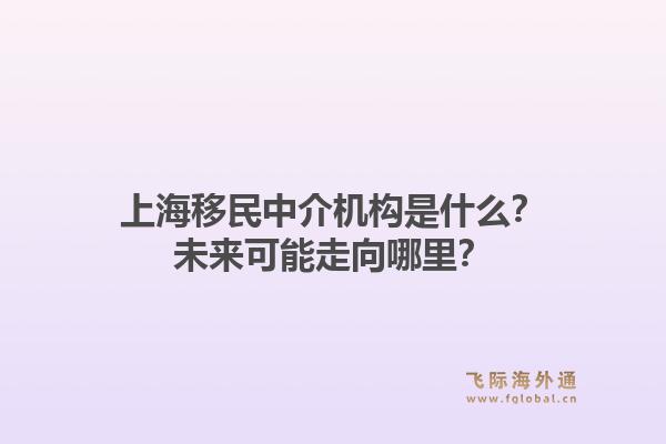 上海移民中介机构是什么？未来可能走向哪里？1.jpg