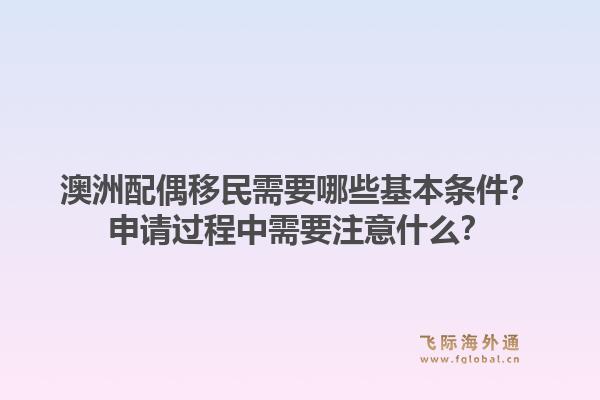 澳洲配偶移民需要哪些基本条件?申请过程中需要注意什么?1.jpg
