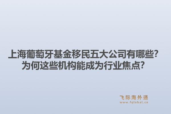 上海葡萄牙基金移民五大公司有哪些？为何这些机构能成为行业焦点？
