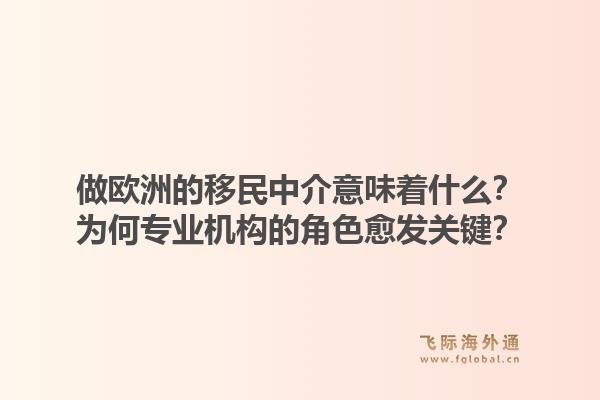 做欧洲的移民中介意味着什么？为何专业机构的角色愈发关键？