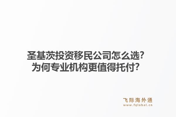 圣基茨投资移民公司怎么选？为何专业机构更值得托付？1.jpg