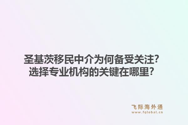 圣基茨移民中介为何备受关注？选择专业机构的关键在哪里？1.jpg