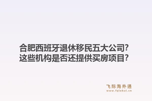 合肥西班牙退休移民五大公司？这些机构是否还提供买房项目？1.jpg