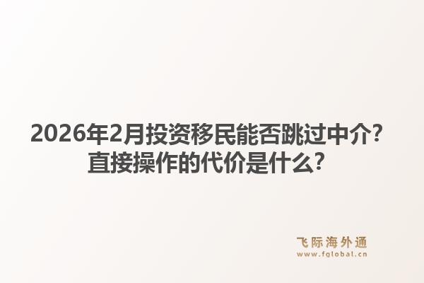 2026年2月投资移民能否跳过中介？直接操作的代价是什么？