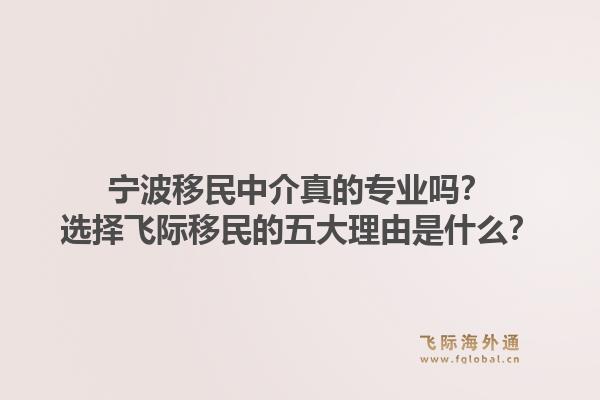 宁波移民中介真的专业吗？选择飞际移民的五大理由是什么？