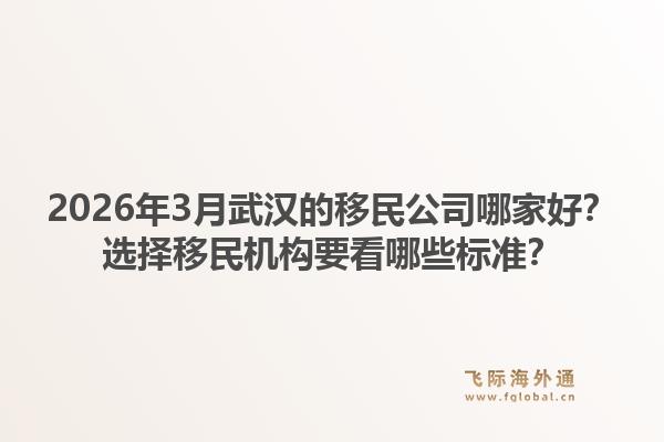 2026年3月武汉的移民公司哪家好？选择移民机构要看哪些标准？