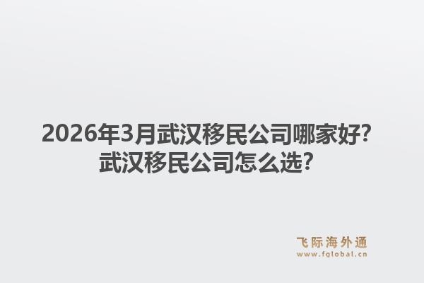2026年3月武汉移民公司哪家好？武汉移民公司怎么选？